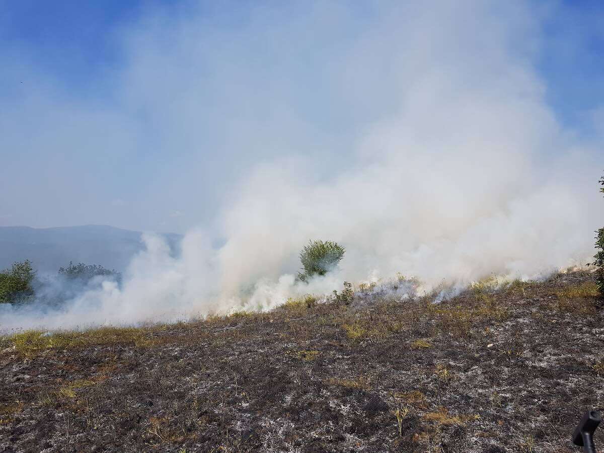 Pericol de incendii în lanuri de cereale în perioada secerișului - agroexpert.md