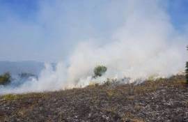 Pericol de incendii în lanuri de cereale în perioada secerișului - agroexpert.md