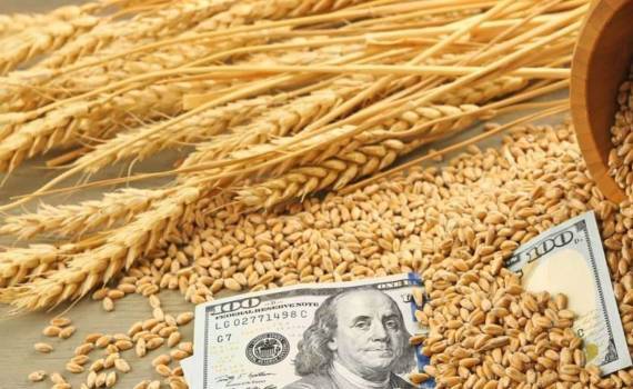 В глубоководных портах Украины снизилась цена продовольственной пшеницы - agroexpert.md