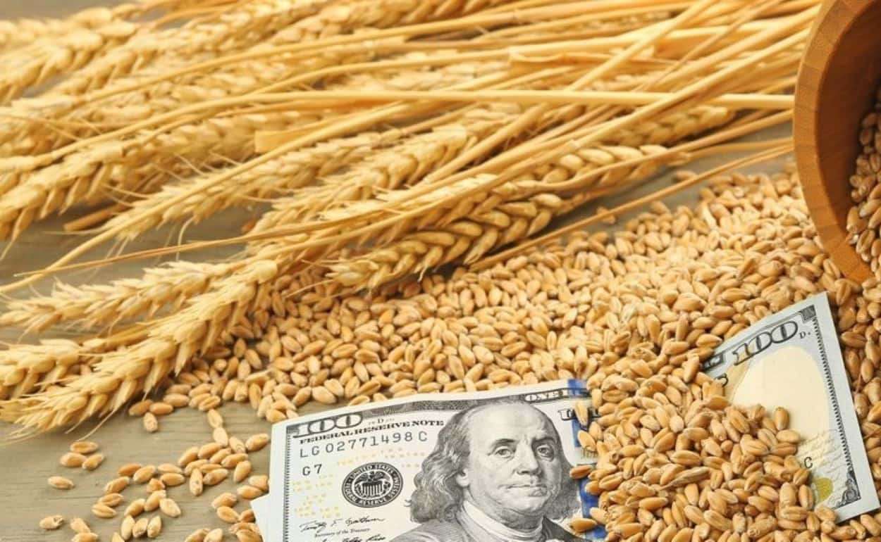 В глубоководных портах Украины снизилась цена продовольственной пшеницы - agroexpert.md