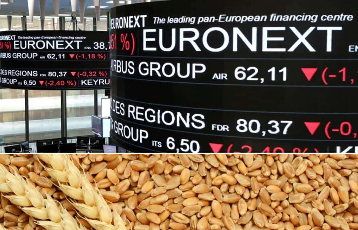 Мировые цены на пшеницу стабилизировались: обзор ситуации на биржах - agroexpert.md