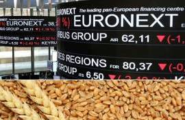 Мировые цены на пшеницу стабилизировались: обзор ситуации на биржах - agroexpert.md