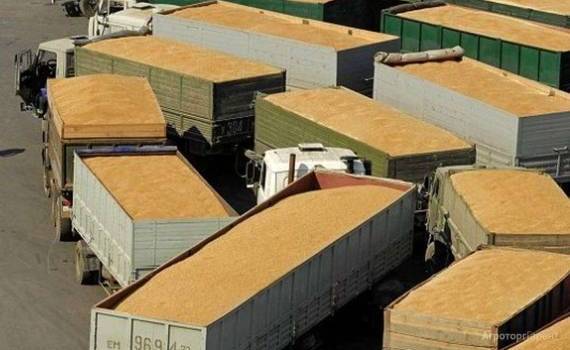 Экспорт зерновых культур из Республики Молдова в июне 2026 года - agroexpert.md