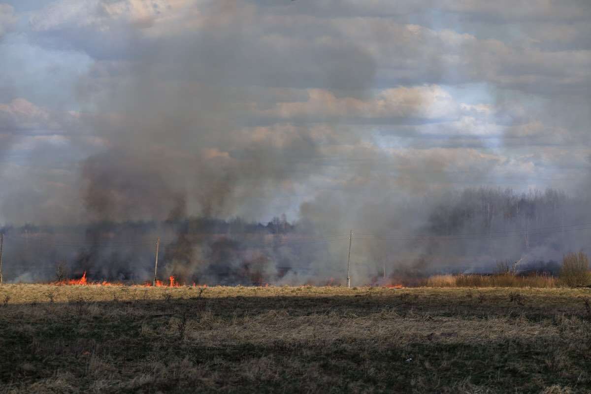 Avertizare meteo: Codul galben de incendii este prelungit - agroexpert.md
