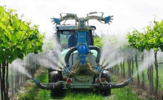 Франция разрешила фермерам использовать запрещённые инсектициды - agroexpert.md