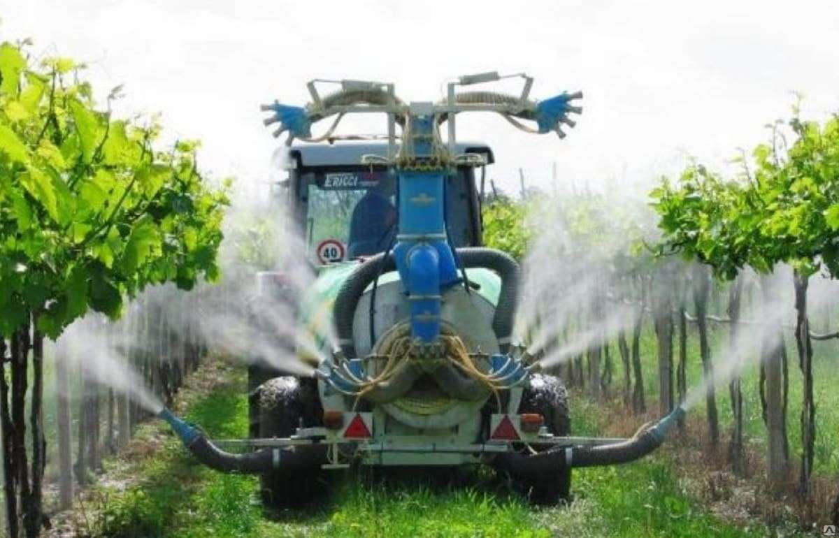 Франция разрешила фермерам использовать запрещённые инсектициды - agroexpert.md