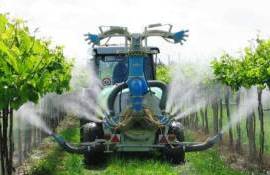 Франция разрешила фермерам использовать запрещённые инсектициды - agroexpert.md