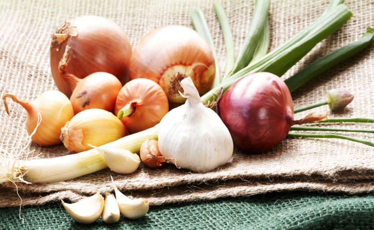 Французские овощеводы терпят многомиллионные убытки из-за жары - agroexpert.md