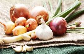 Французские овощеводы терпят многомиллионные убытки из-за жары - agroexpert.md
