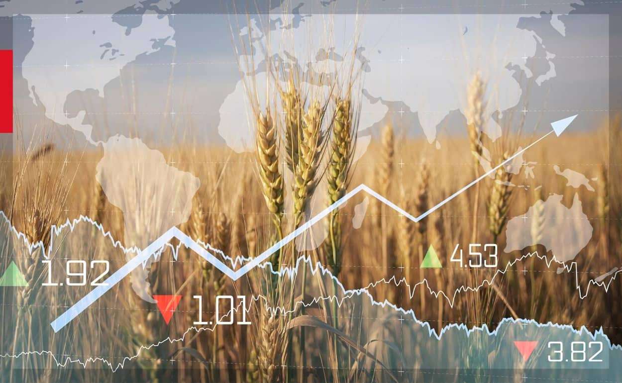 Цены на мировых рынках в четверг: пшеница снизилась, кукуруза и соя росли - agroexpert.md