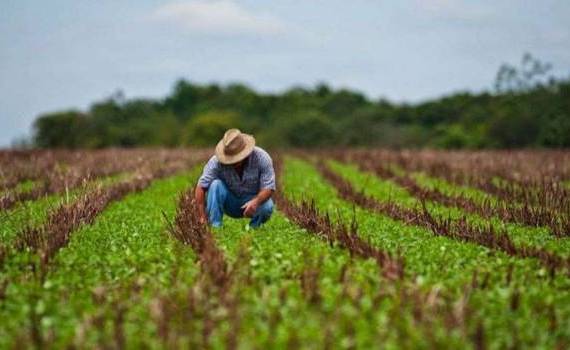 AIPA: Fermierii vor avea un singur apel pentru post-investiții în 2026 - agroexpert.md