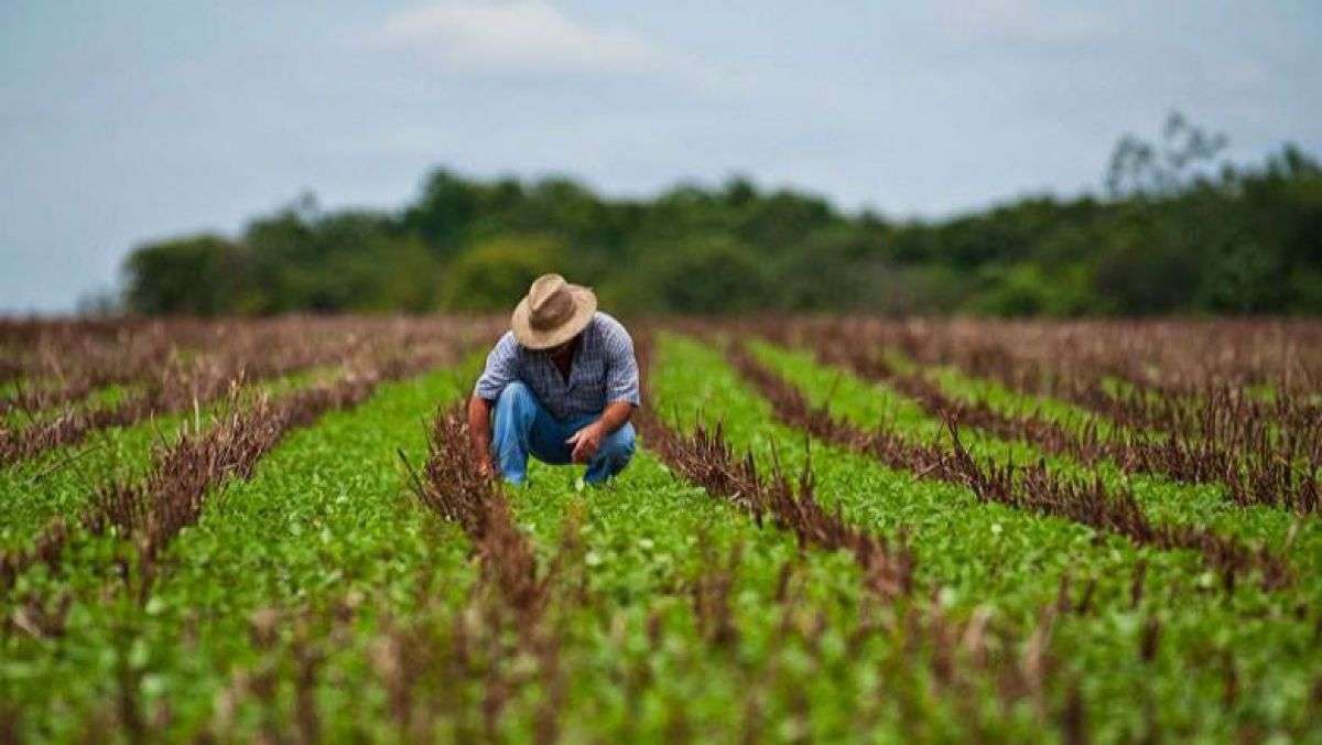 AIPA: Fermierii vor avea un singur apel pentru post-investiții în 2026 - agroexpert.md