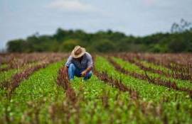 AIPA: Fermierii vor avea un singur apel pentru post-investiții în 2026 - agroexpert.md