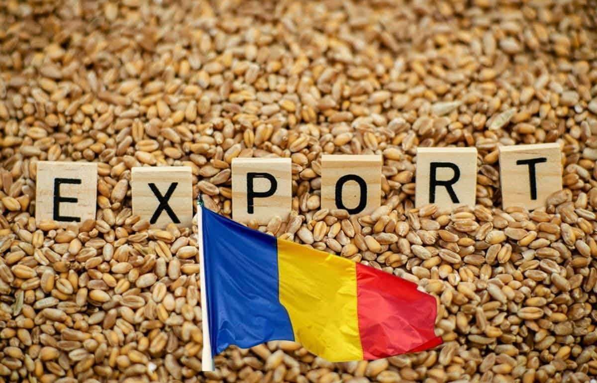Румыния теряет позиции в экспорте пшеницы, но остается лидером по ячменю - agroexpert.md