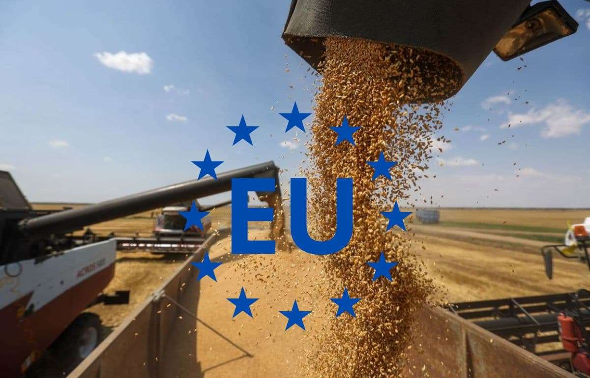 Экспорт зерновых в ЕС в новом сезоне стартовал с замедлением - agroexpert.md