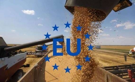 Экспорт зерновых в ЕС в новом сезоне стартовал с замедлением - agroexpert.md