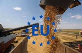 Экспорт зерновых в ЕС в новом сезоне стартовал с замедлением - agroexpert.md