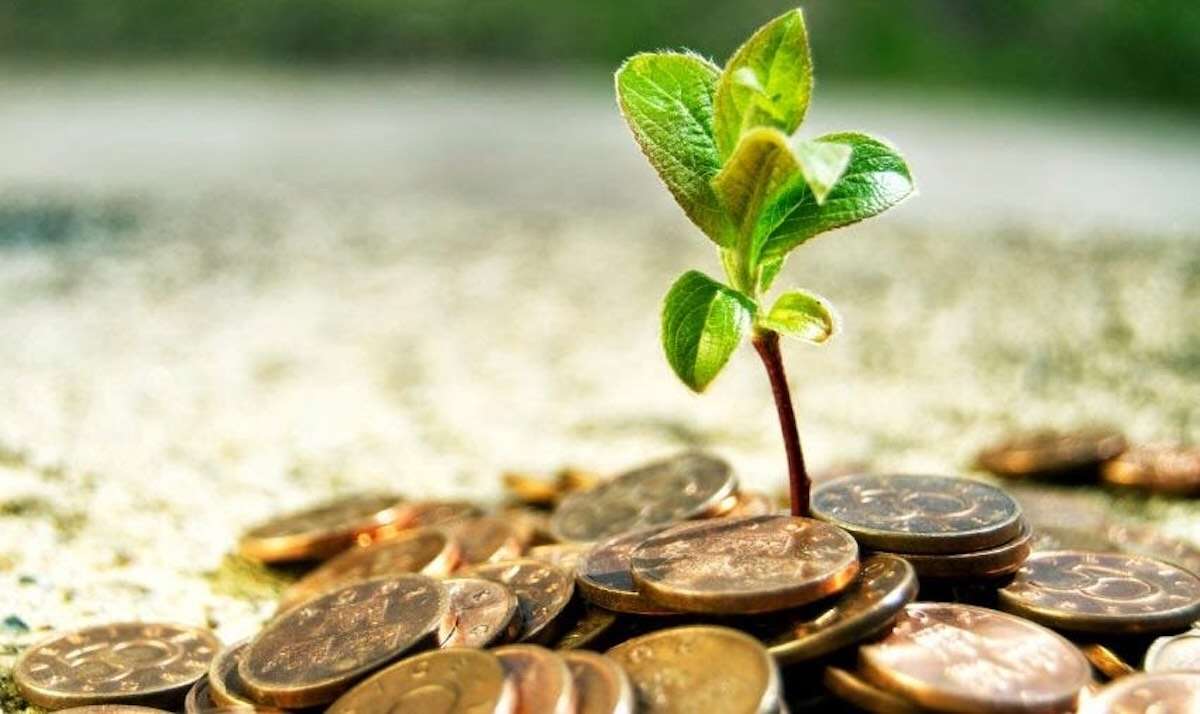 Aproape 20 mil de lei, autorizați de AIPA pentru proiecte rurale - agroexpert.md