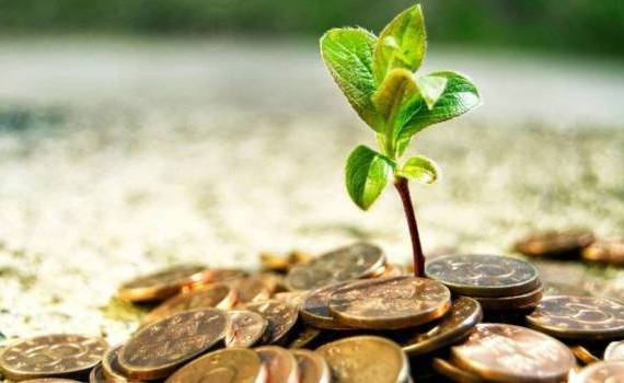 Aproape 20 mln. de lei, autorizați de AIPA pentru proiecte rurale - agroexpert.md