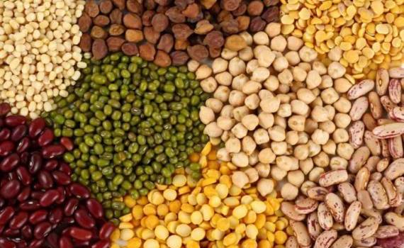 Мировые цены на зернобобовые могут вырасти из-за Эль-Ниньо - agroexpert.md