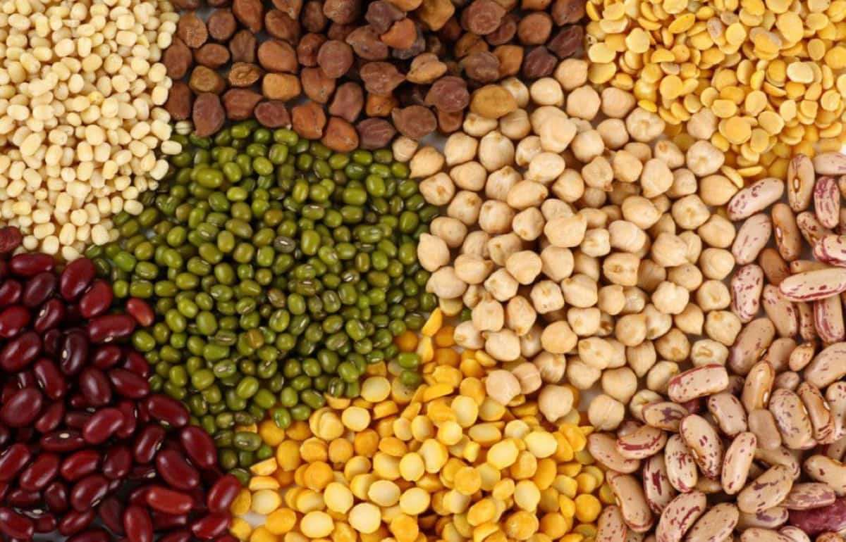 Мировые цены на зернобобовые могут вырасти из-за Эль-Ниньо - agroexpert.md