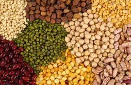 Мировые цены на зернобобовые могут вырасти из-за Эль-Ниньо - agroexpert.md