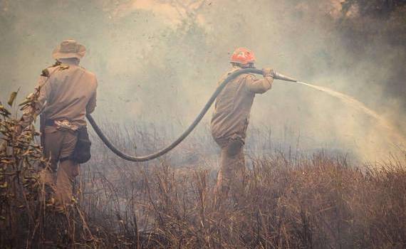 Europa cuprinsă de flăcări: sute de mii de hectare distruse- agroexpert.md