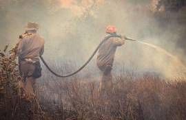 Europa cuprinsă de flăcări: sute de mii de hectare distruse- agroexpert.md
