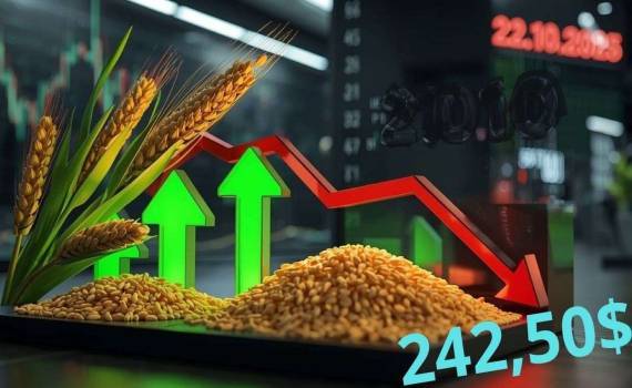 Заявления Трампа в очередной раз отразились на рынках нефти и зерна - agroexpert.md