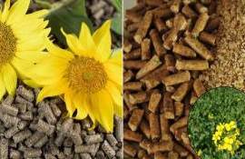 Анализ внешней торговли шротами и жмыхами Молдовы в июне 2026 года - agroexpert.md