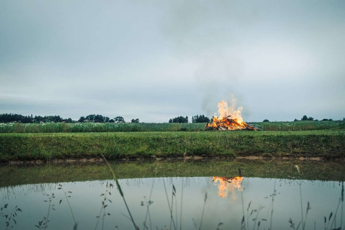 Incendierea miriștilor este interzisă: arderea distruge ecosisteme - agroexpert.md