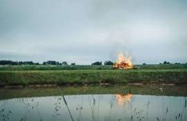 Incendierea miriștilor este interzisă: arderea distruge ecosisteme - agroexpert.md