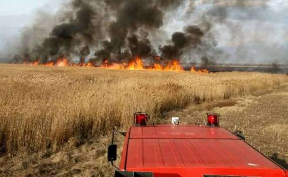 Incendiu la Mândrești: 15 hectare de grâu au fost distruse - agroexpert.md