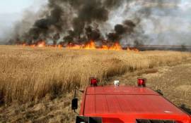 Incendiu la Mândrești: 15 hectare de grâu au fost distruse - agroexpert.md