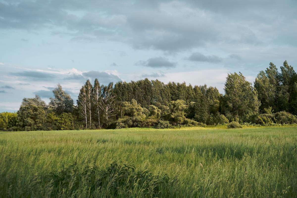 Ecosisteme restaurate și mai multe zone naturale protejate până în 2030 - agroexpert