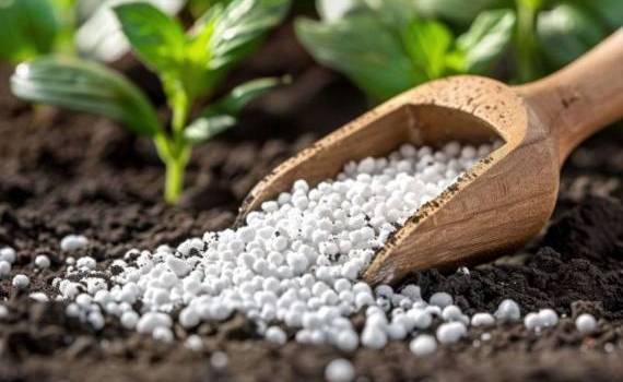 Индия берет курс на полную самообеспеченность азотными удобрениями - agroexpert.md