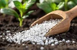 Индия берет курс на полную самообеспеченность азотными удобрениями - agroexpert.md