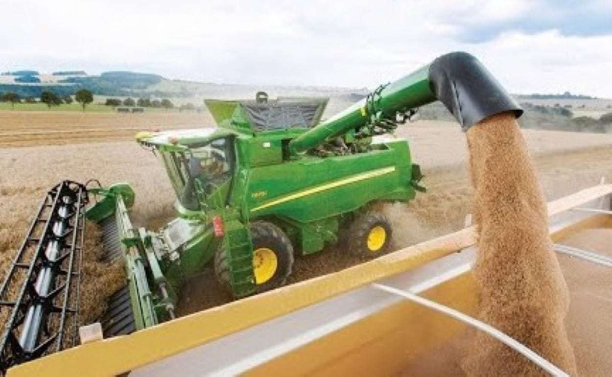 Румыния сохраняет высокие виды на урожай вопреки засухе - agroexpert.md