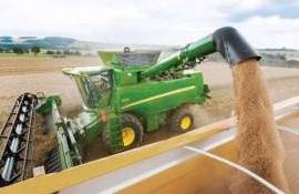Румыния сохраняет высокие виды на урожай вопреки засухе - agroexpert.md