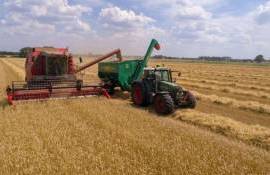 Турция возвращается на экспортный рынок продовольственной пшеницы - agroexpert.md