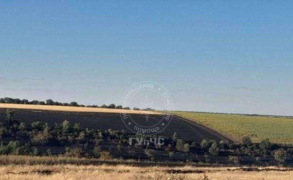 100 de hectare de vegetație au ars în raionul Rîbnița - agroexpert.md