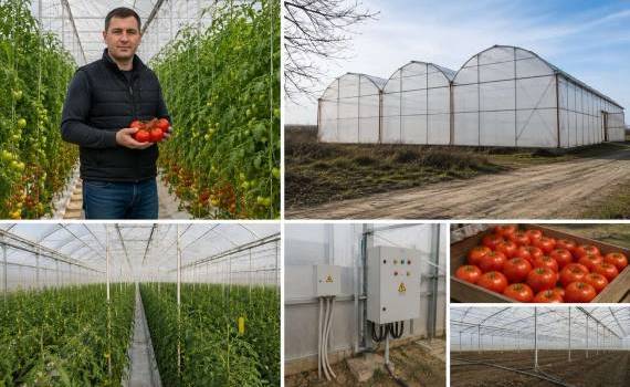 Nichita Vitali: Recoltele stabile necesită investiții în tehnologii moderne - agroexpert.md
