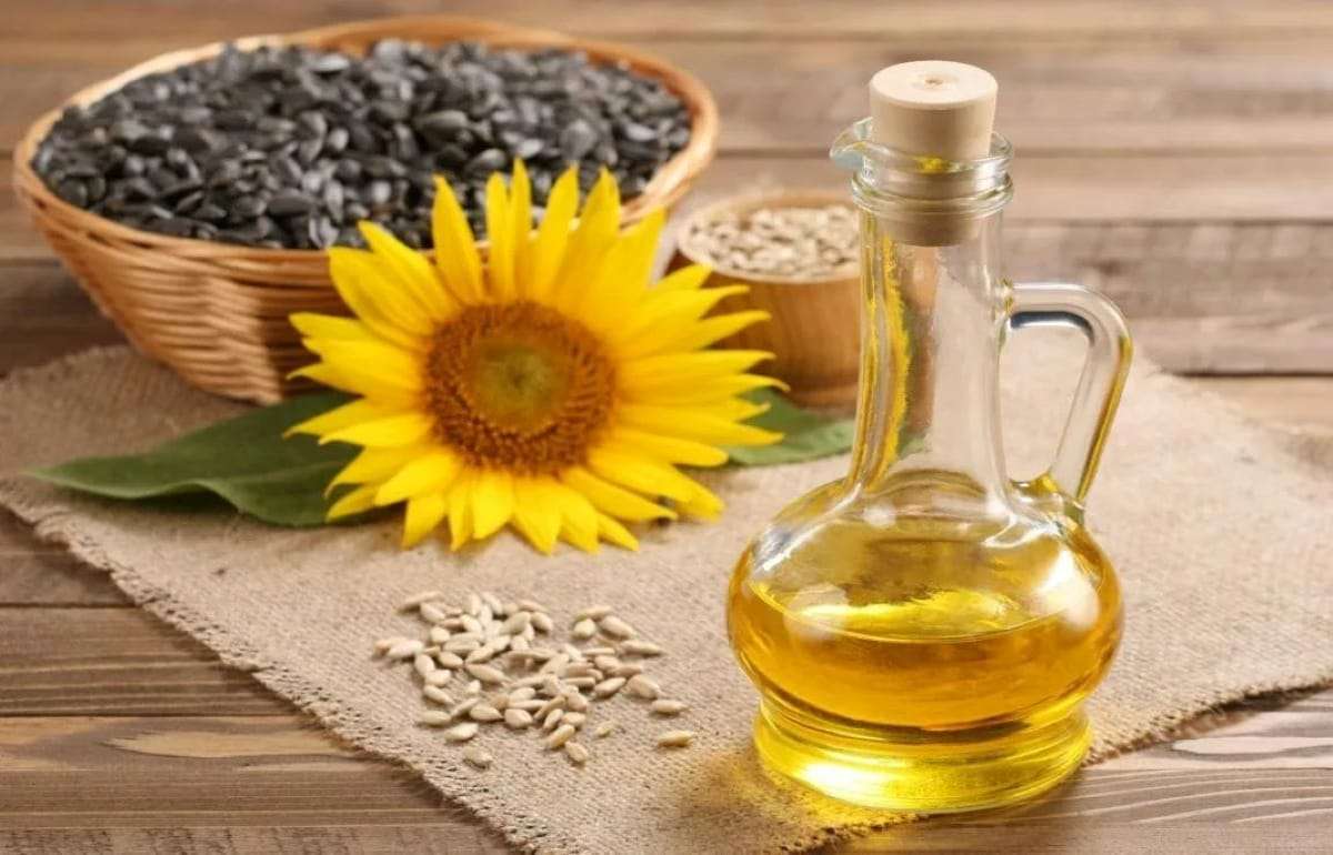 Индия ищет замену поставкам подсолнечного масла из Черноморского региона - agroexpert.md
