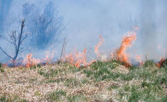 Codul galben de pericol de incendii rămâne în vigoare - agroexpert.md