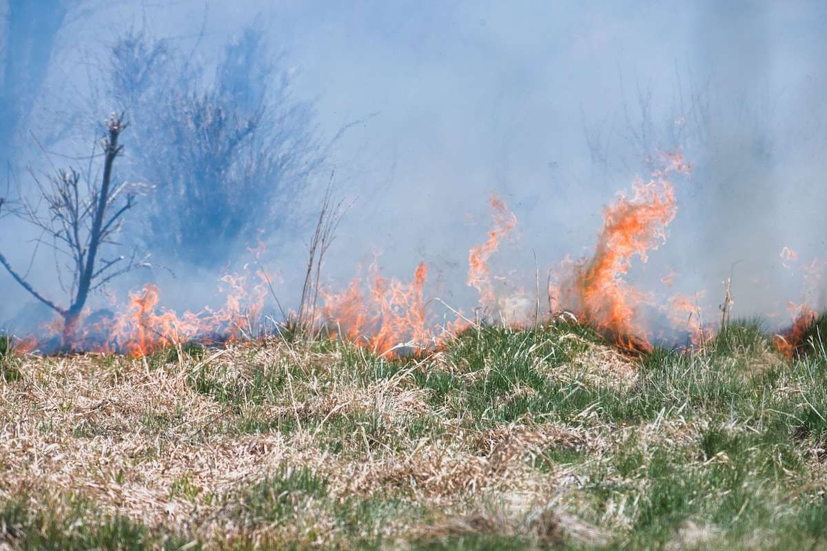 Codul galben de pericol de incendii rămâne în vigoare - agroexpert.md