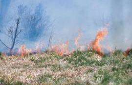 Codul galben de pericol de incendii rămâne în vigoare - agroexpert.md