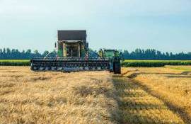 Cât grâu va recolta Republica Moldova în acest an? Precizări de la MAIA - agroexpert.md