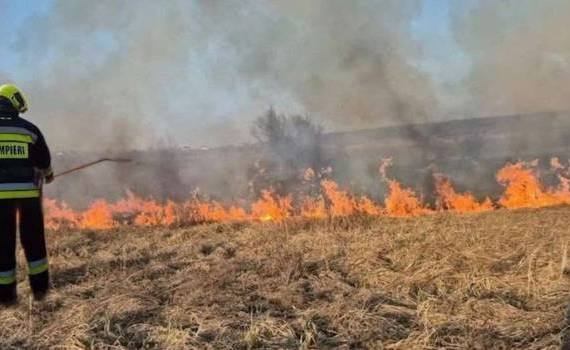 41 de incendii de vegetație, lichidate de pompieri în ultimele 24 de ore - agroexpert.md