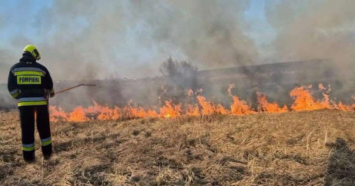 41 de incendii de vegetație, lichidate de pompieri în ultimele 24 de ore - agroexpert.md