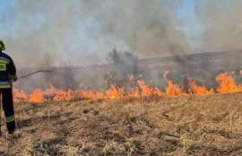 41 de incendii de vegetație, lichidate de pompieri în ultimele 24 de ore - agroexpert.md